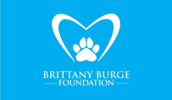 The Brittany Burge Foundation Walk for Hope 5K