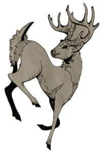 Wahkiakum 4-H Great White Tail Run