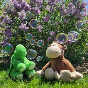 TurtleLiz JenMonkey Friendship Fourthever Run