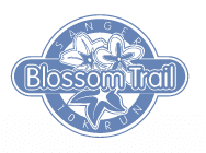 Sanger Blossom Trail Run
