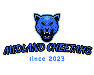 3rd Annual MIDLAND CHEETAH’S Youth Track and Field Meet and 5K Fun Run