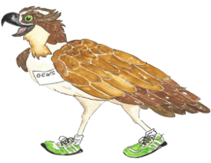 OCWC Charity 5K & Fun Run