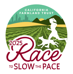 Race To Slow The Pace