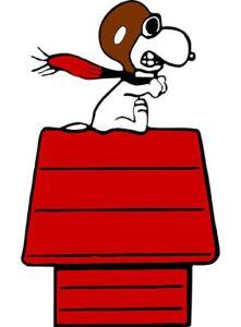 Run! Run! Snoopy 5K