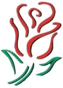 Rose Festival 5K - State Center, Iowa