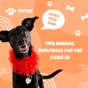 11th Annual Run/Walk for the Paws 5K 2025