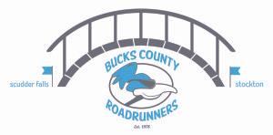 B2B, Bridge to Bridge Run