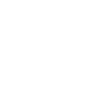 12TH ANNUAL RUN, WALK OR ROLL 5K