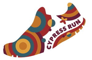 Cypress Run